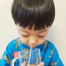 얼음골사과무지개농원