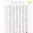 탑베리타스 이미지