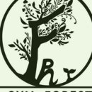 대학초등학교 이미지