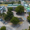 홍성군장애인종합복지관 이미지