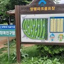 양평파크골프장 이미지