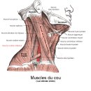 예천경희한의원 이미지