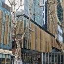 승리 스포츠클럽 | 첫 롤파크 직관 일반인 후기｜중립석 E구역 시야젠지 vs KT 티켓팅 꿀팁 총정리