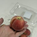 대극천 복숭아 내돈내산 로켓배송 후기, 지금 딱 제철이라 그런지 꿀맛