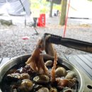 밀양댐스쿨캠핑장 이미지