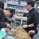 안영농장 이미지