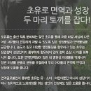 면역력을 높여주는 제품입니다 이미지