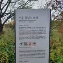 (주)고분도리 총각네 | [2024년 2학기]역사의 현장을 찾아서(기말과제)_문화교양학과