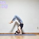 마음수련건강관리
