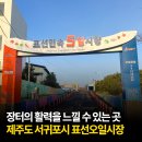 표선면 표선리 재활용 도움센터 이미지