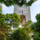 대공원광장대로 이미지