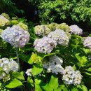 수안영농조합법인 이미지