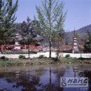 구산-009 이미지