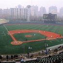 목동텃밭 이미지