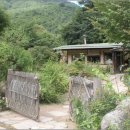 들꽃이야기 이미지