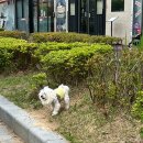 스타벅스 마린시티아이파크 이미지