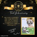 씨엘아트컴퍼니 네이버블로그