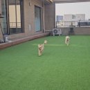 바우라움 메인캠퍼스 이미지