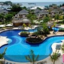 스포츠파크 뷔페 이미지