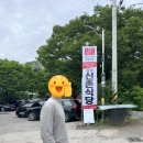 원조 고향식당 이미지