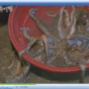 회진시장 이미지