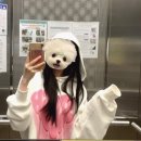 와라와라펜션 | 9