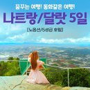 꿈꾸는 여행 이미지