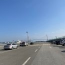 바다가 보이는 부산항 힐링 야영장 이미지