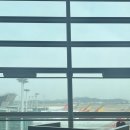 명작소설호텔 | [뉴욕] 신혼여행 출발, 아시아나 라운지, 스마티움, 뉴욕 JFK 공항 버스, 메리어트 마르퀴스 호텔