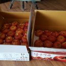 나들농장 이미지