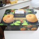 데이프룻