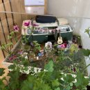 돌 하우스(Doll House) 이미지