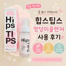 힙스