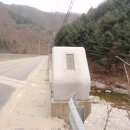 도대리교 Daum카페