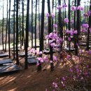 백운산자연휴양림 이미지