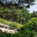 정섭농장 이미지