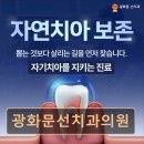 서울선치과의원 네이버블로그