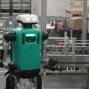 (주)엠트럭서비스 이미지