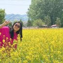 작전목장 이미지