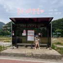 천아트(야간) | 애견동반여행 충주 수주팔봉 애견동반 가볼만한 곳