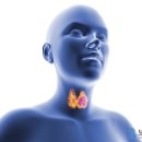 보강병원 이미지