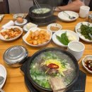 이래옥 | 이른 여름휴가 강원도여행🌿