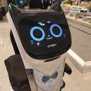 손안애스시뷔페 | 양재역 디오디아 2.0 주중 디너 뷔페 후기(+임산부,생일 할인받는 법)