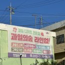 돌산캠핑장 | 여수 과일빙수맛집 돌산 과일의숲 멜론빙수 후기