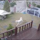 명성엘리베이터 이미지