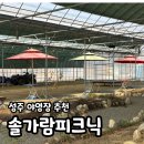 피크닉마트 | 성주 솔가람 피크닉 야영장 후기 아이랑 하루종일 놀기 좋은 곳 (바베큐 가능, 자리선정 꿀팁)
