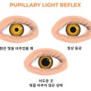 널스픽 네이버블로그