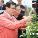 대일팜 이미지