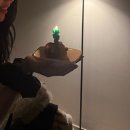 스트로마톨라이트 | 2026. 03 | 노래하는 대전여행