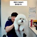 사랑해요동물병원 이미지